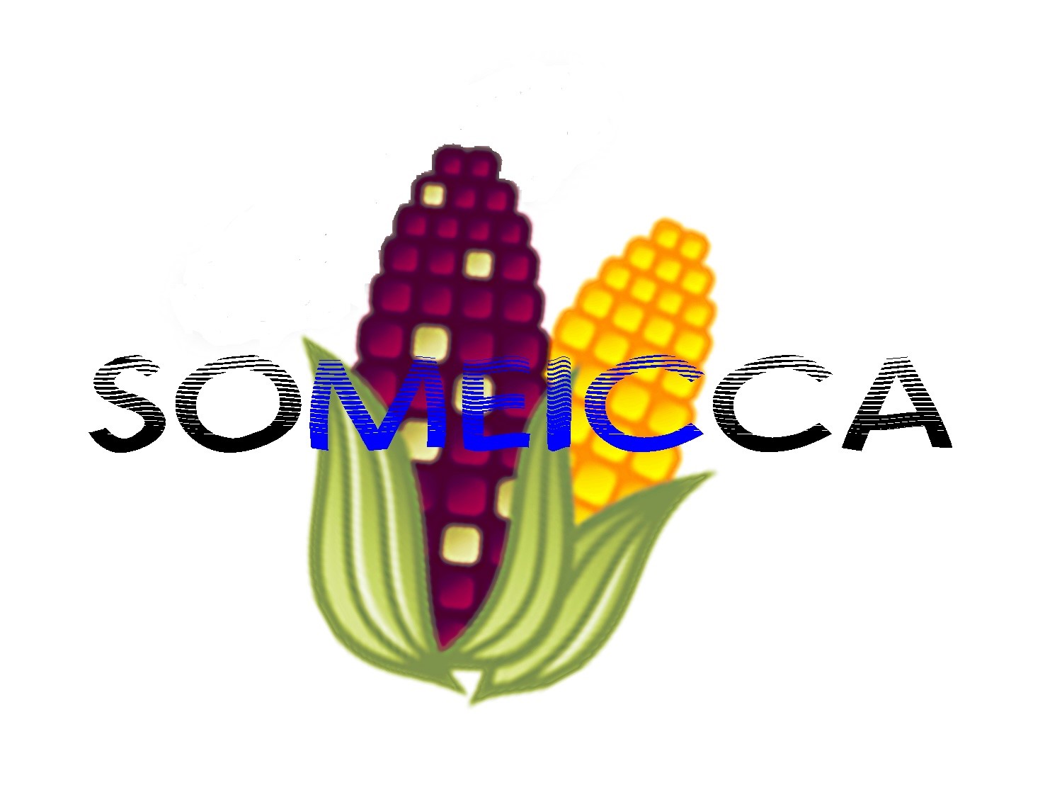 SOMEICCA (A.C)